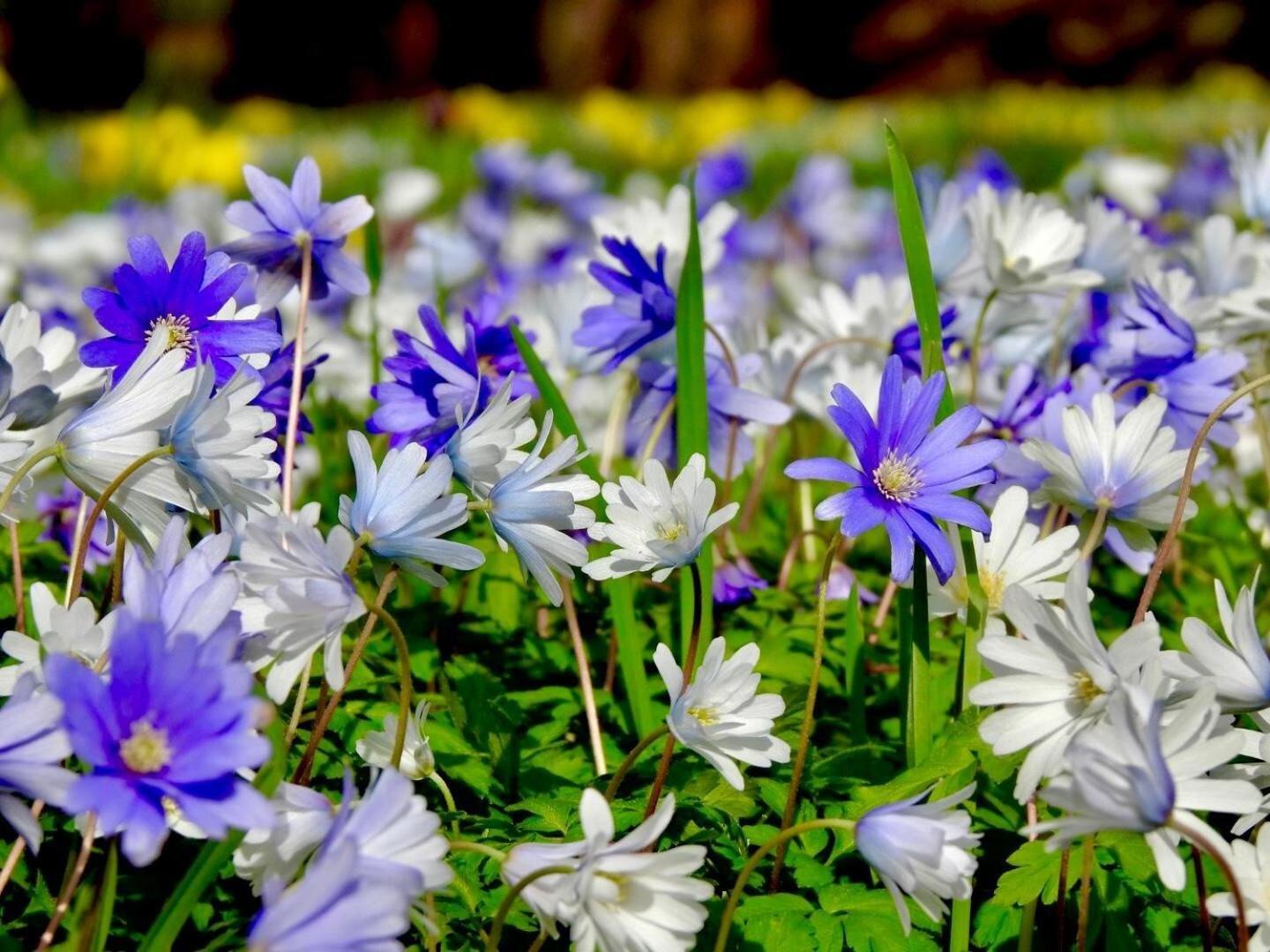 Thornton Manor - Holiday Cottages And Apartments Heswall Szoba fotó
